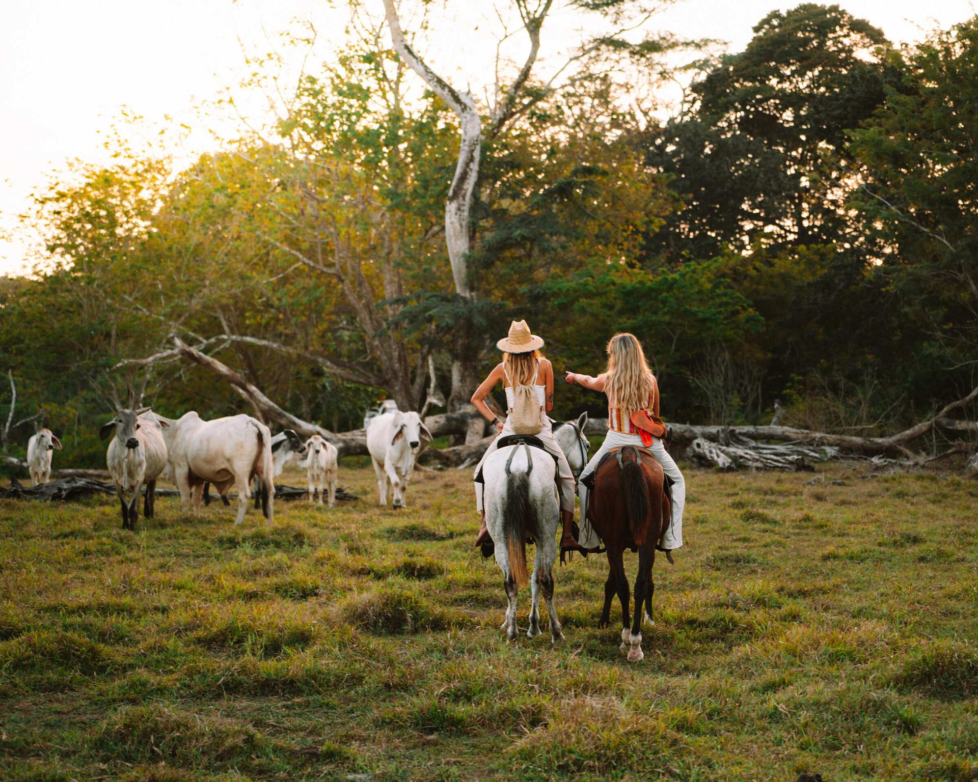 Experiences in Santa Teresa.